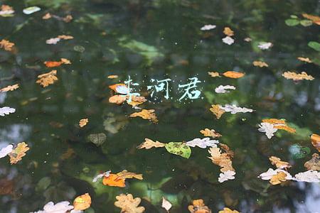 李河君
