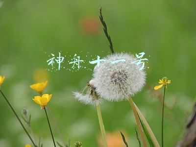 神舟十一号
