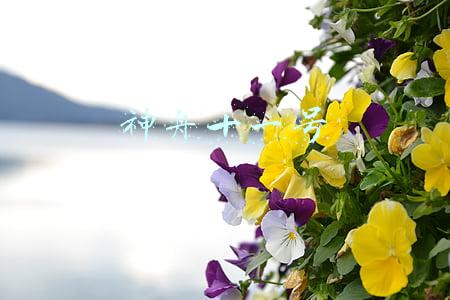 神舟十一号