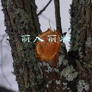 丽人丽妆