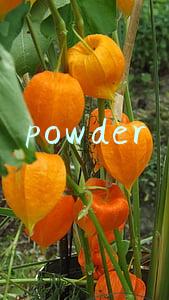 powder
