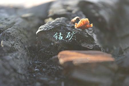 钴矿