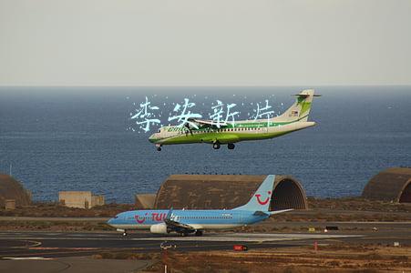 李安新片