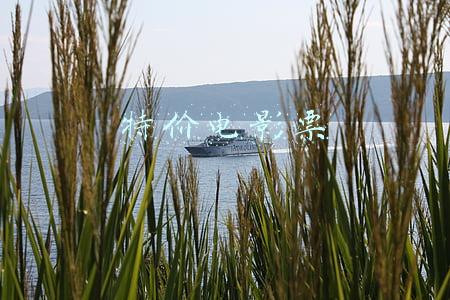 特价电影票