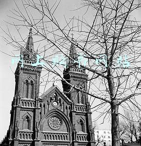 网上购书的网站(四个买书网站)