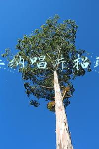 华纳唱片招聘