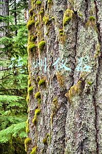 德州仪器cpu(德州仪器MCU团队研发迁到印度？官方辟谣中国区没裁人)