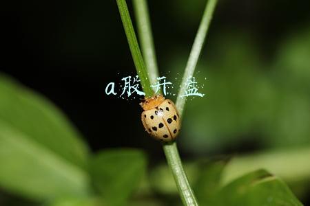 a股开盘