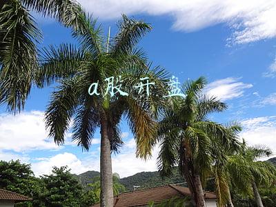 a股开盘