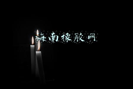 海南橡胶网