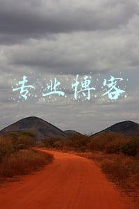 专业博客
