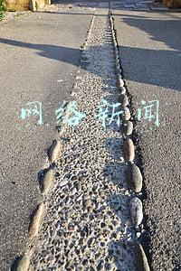 网络新闻