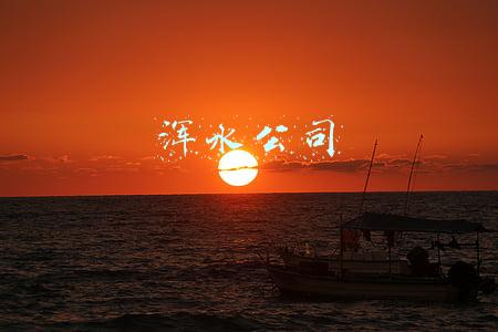 浑水公司