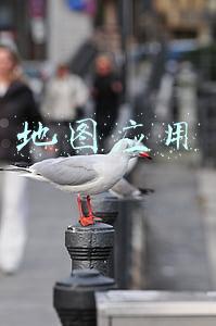 地图应用