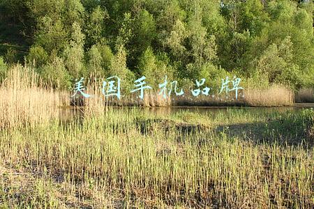 美国手机品牌 美国手机品牌