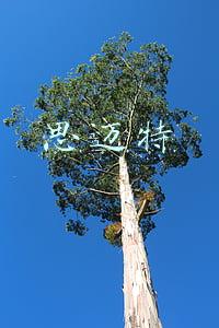 思迈特