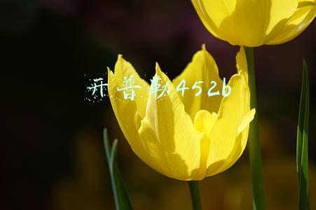 开普勒452b 开普勒452b