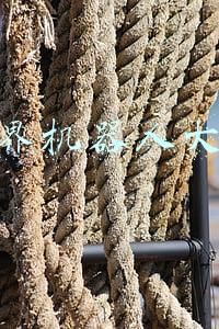 世界机器人大会