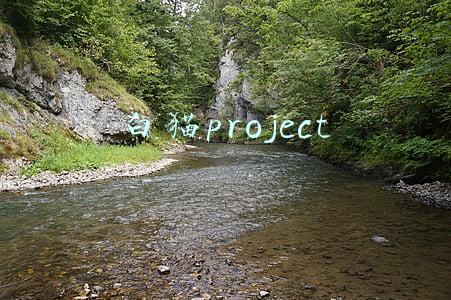 白猫project