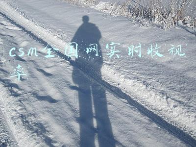 csm全国网实时收视率