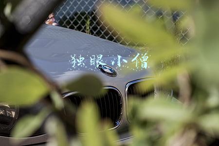 独眼小僧
