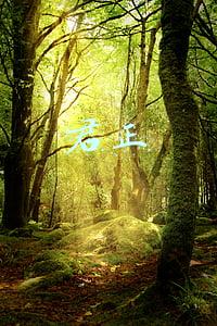 君正集团股吧(君正集团(601216.SH)上半年归母净利润同比增68.62%至22.34亿元)