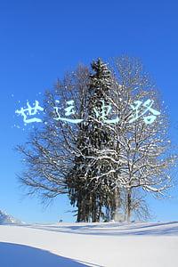 世运电路