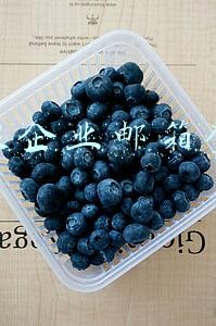 新浪企业邮箱登录