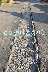 cognizant