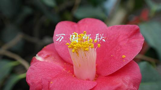 万国邮联