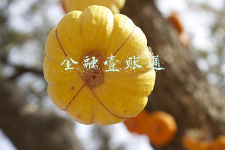 金融壹账通