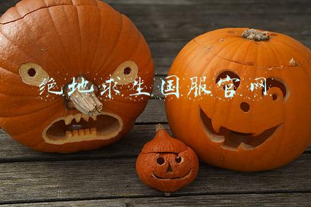 绝地求生国服官网