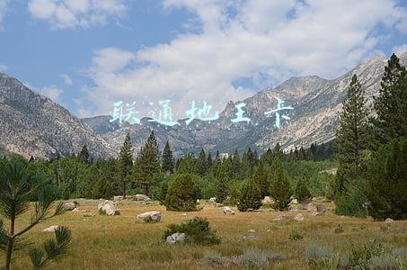 联通地王卡