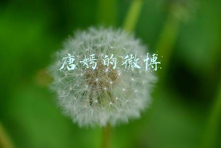 唐嫣的微博