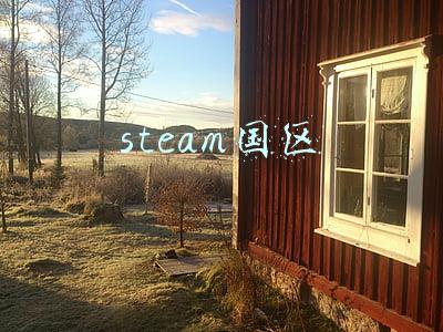 steam国区