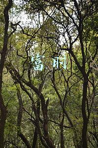 富时