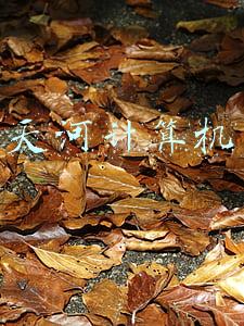 天河计算机