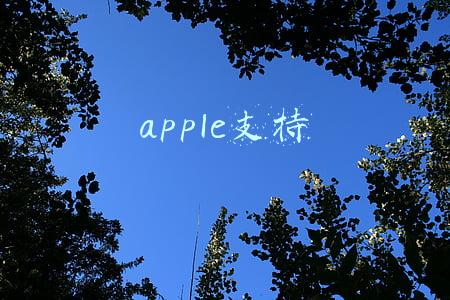 apple支持