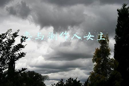 恋与制作人女主