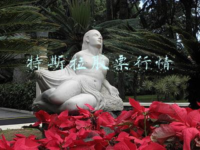 特斯拉股票(港股特斯拉概念股走高)