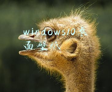 windows10桌面壁纸