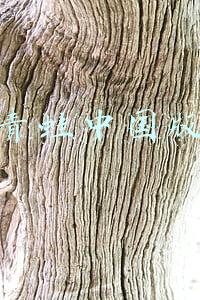 旅行青蛙中国版攻略