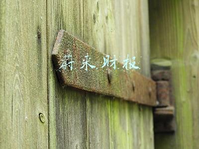 蔚来财报