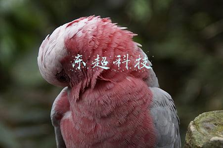 东超科技