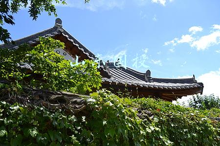 山东国投