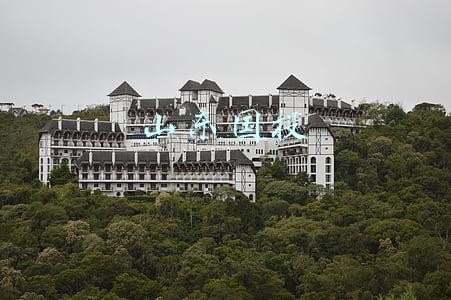 山东国投