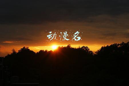 动漫名