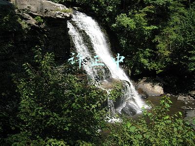 许正中