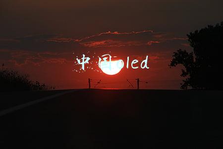 中国oled
