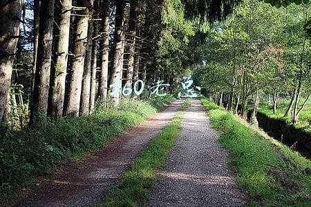 360老总